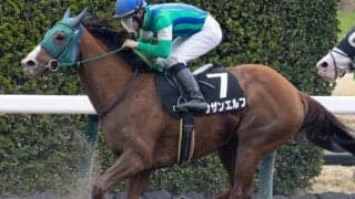 福島ダートはエーピーインディ系に注目 TUF杯はサザンエルフが軸だ