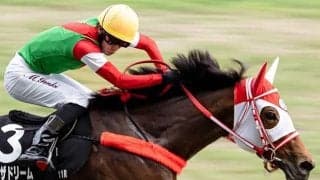 【アイビスSD想定馬・騎手】チェイスザドリーム、ウイングレイテストなど18頭