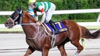 半兄は砂の強豪セラフィックコール テリオスララが初陣V狙う