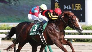 ノッキングポイントの競走馬登録抹消…母はチェッキーノ