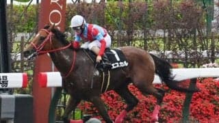 【今日の注目ポイント】各場で3勝クラスがメイン 新馬戦でタッチングスピーチの仔などがデビュー