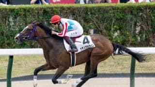 【札幌5R新馬戦結果】キズナ産駒ナチュラルライズが6馬身差圧勝