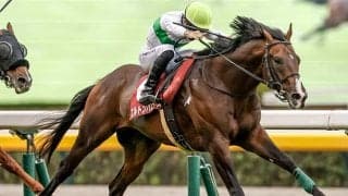 【中京記念予想】前走の競馬場や4角での位置取りが好走の鍵！ 重賞2勝の実力馬が該当した消しデータとは