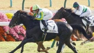 【中京記念前日オッズ】ニホンピロキーフが2.5倍で1番人気
