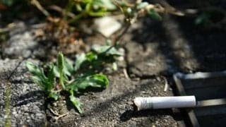 たばこの後始末はあなたを映す