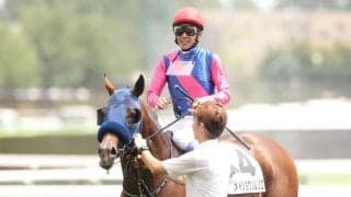 【札幌3R】武豊メイショウソムリエが4馬身差完勝