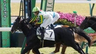 【中京記念予想】2年ぶりに小倉芝1800mが舞台 小回りゆえ逃げ先行馬が中心か