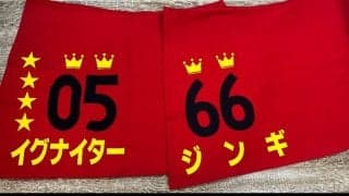 【園田・姫路競馬】特別調教ゼッケンの導入…イグナイターなど