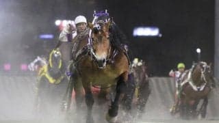 ばんえいグランプリファン投票最終結果…メムロボブサップが1位