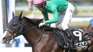 【中京記念予想】ターゲットになる人気順・ハンデ・枠番は!? 過去データから探るGIII中京記念