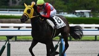 【小倉5R新馬戦結果】モズアスコット産駒ブルーレースが3馬身半差で完勝