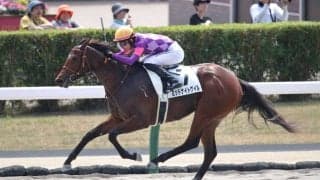 【札幌1R】ドレフォン産駒 ミッドナイトゲイルが人気に応える…5馬身差圧勝
