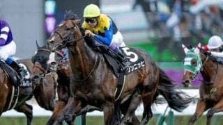 【しらかばS結果】武豊騎手騎乗のゾンニッヒが直線一気V！