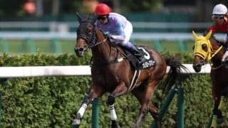 【HBC賞】武豊ナムラローズマリーが3連勝