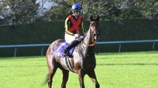 【クイーンS】スタニングローズ、ボンドガールらが登録