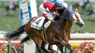 新潟競馬が開幕 クイーンSなど3重賞/今週の競馬界の見どころ