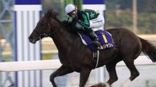 【高知・トレノ賞】ヘルシャフトが4馬身差で快勝…吉原「暑さに強い馬ではないと聞いていた」