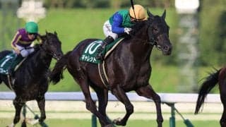 【盛岡・いしがきマイラーズ】1番人気ギャレットが重賞2勝目…山本「今日もダッシュつかなかった」