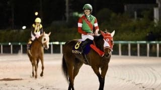 【アイビスSD登録馬】チェイスザドリームなど21頭