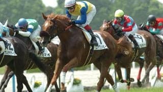 7月22日は「ワンピースの日」 5億部超えの名作マンガにまつわる“一族”を紹介