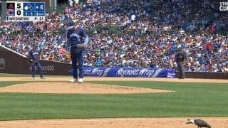 あっち行けよ！ 投手が思わずイライラ… あれは、何だ…！？ グラウンドに突然乱入→堂々と徘徊する“侵入者”が話題に 「ビビってないw」「直撃しなくてよかった」