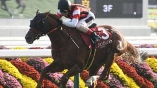 【AI予想・アイビスSD】前走の着順や人気が多種多様 本命候補は短距離戦に高い適性を示す3頭