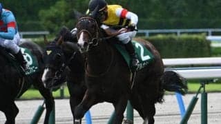 連対率20％超える「モーリス×ディープ」 ニックス配合と母系が持つポテンシャルが開花したアルナシーム