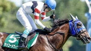 【新潟JS想定騎手】ホッコーメヴィウスは小牧加矢太騎手、サクセッションは石神深一騎手