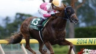 ダート種牡馬も悪くない？ サンデー系は不調？ アイビスSDの舞台・新潟芝1000mで強い父は