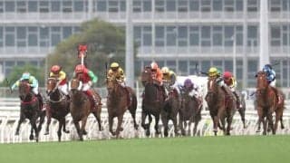 香港馬ムゲンがスプリンターズS参戦へ 地元紙が報じる