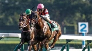 【アイビスSD予想オッズ】ウイングレイテストが予想1番人気