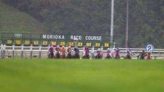 第5回盛岡競馬の芝レースをすべてダートに変更 重賞3競走にも影響