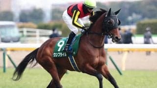 8戦連続の重賞挑戦で初タイトルなるか クイーンSにGI馬の全妹参戦