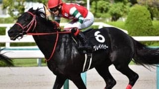 意外にもJRAでは未勝利 TCK史上最速2000勝達成のトップジョッキーがアイビスSDで一気にJRA重賞初制覇へ