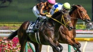 ここまでルーキー最多の17勝 クイーンS参戦の若手が同期一番乗りの重賞Vで師匠に恩返しだ