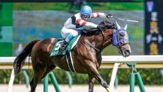 【新潟JS出走馬・騎手確定】ホッコーメヴィウス＆小牧加矢太騎手、サクセッション＆石神深一騎手など13頭