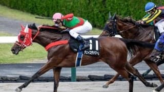 【アイビスSD出走馬・騎手確定】チェイスザドリーム＆坂井瑠星騎手、ウイングレイテスト＆松岡正海騎手など18頭