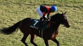 【クイーンS出走馬・騎手確定】ドゥアイズ＆鮫島克駿騎手、ウンブライル＆C.ルメール騎手など14頭
