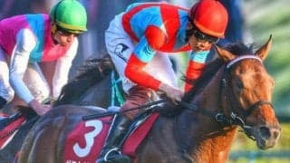 22年東スポ杯2歳S覇者 関越Sで1年7カ月ぶりの復帰戦だ