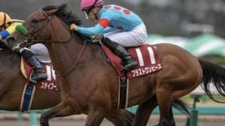 有馬記念覇者の半妹が初陣 鞍上にC.ルメール騎手を迎え期待十分