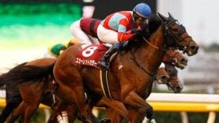 GII覇者スカーレットカラーの初仔 アメリカンファラオ産駒のラージギャラリーが初陣V狙う