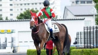 【アイビスSD枠順確定】チェイスザドリームは7枠13番、ウイングレイテストは6枠12番