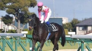 【新潟JS枠順確定】ダイシンクローバーは2枠2番、ホッコーメヴィウスは4枠5番