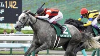 日曜の札幌は雨予報 “道悪鬼配合”のウインピクシスがクイーンSで重賞初制覇だ