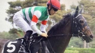 新潟外回りは決め手重視 コース巧者のセレシオンが決める