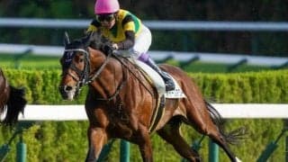 充実気配漂う超良血2億円馬 両親譲りの末脚で待望の3勝目を勝ち取る