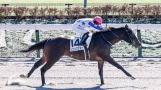 【レパードS想定馬・騎手】ソニックスター、ミッキーファイトなど17頭