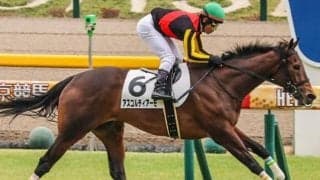 2歳牝馬女王の半姉がOP初参戦 秋の大舞台に向け全4勝挙げる1800m戦で3連勝狙う