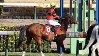 オウケンムーンの競走馬登録抹消…地方競馬へ移籍