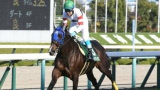 【今日の注目ポイント】新潟で障害重賞の新潟JSとオープン関越S